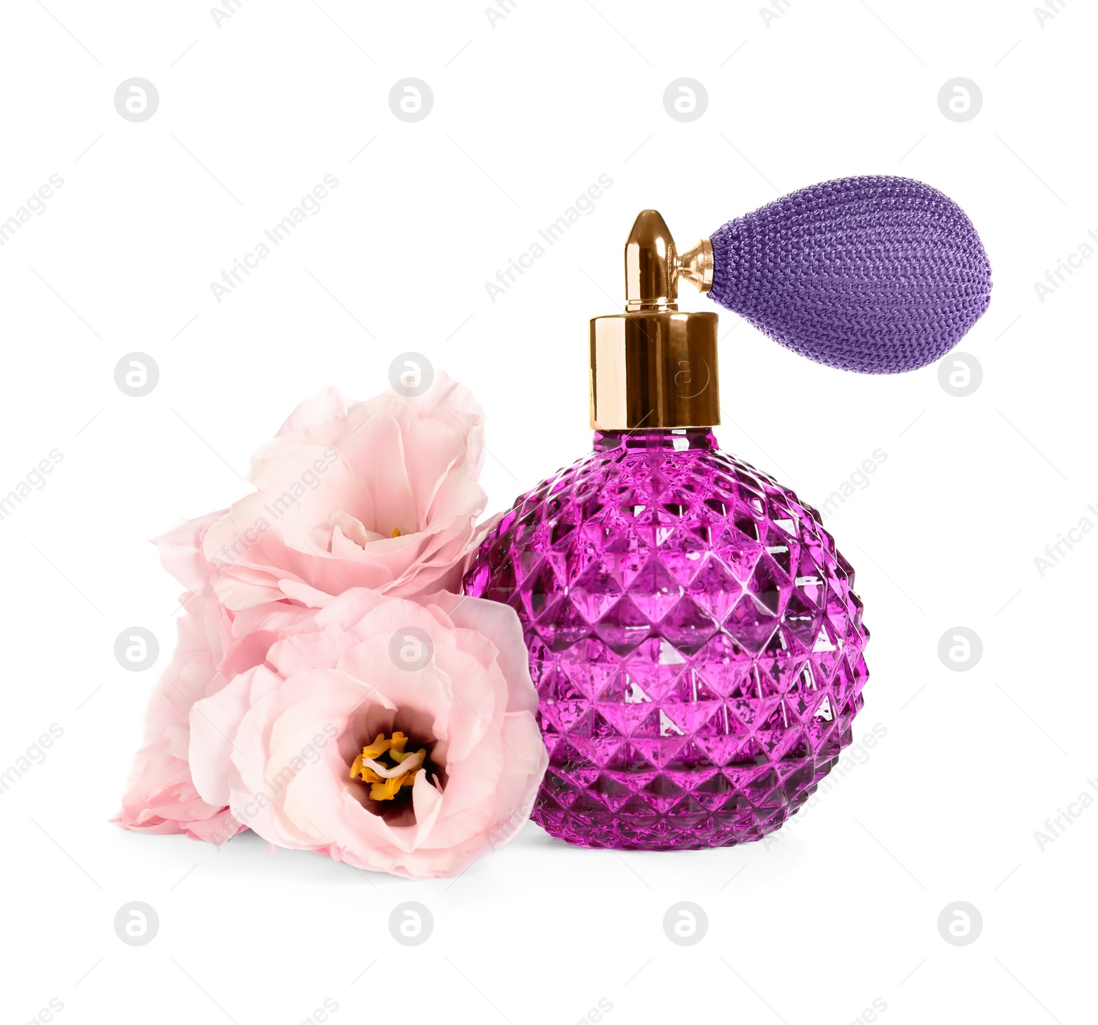 Photo of Bottle of luxury perfume and beautiful flowers isolated on white