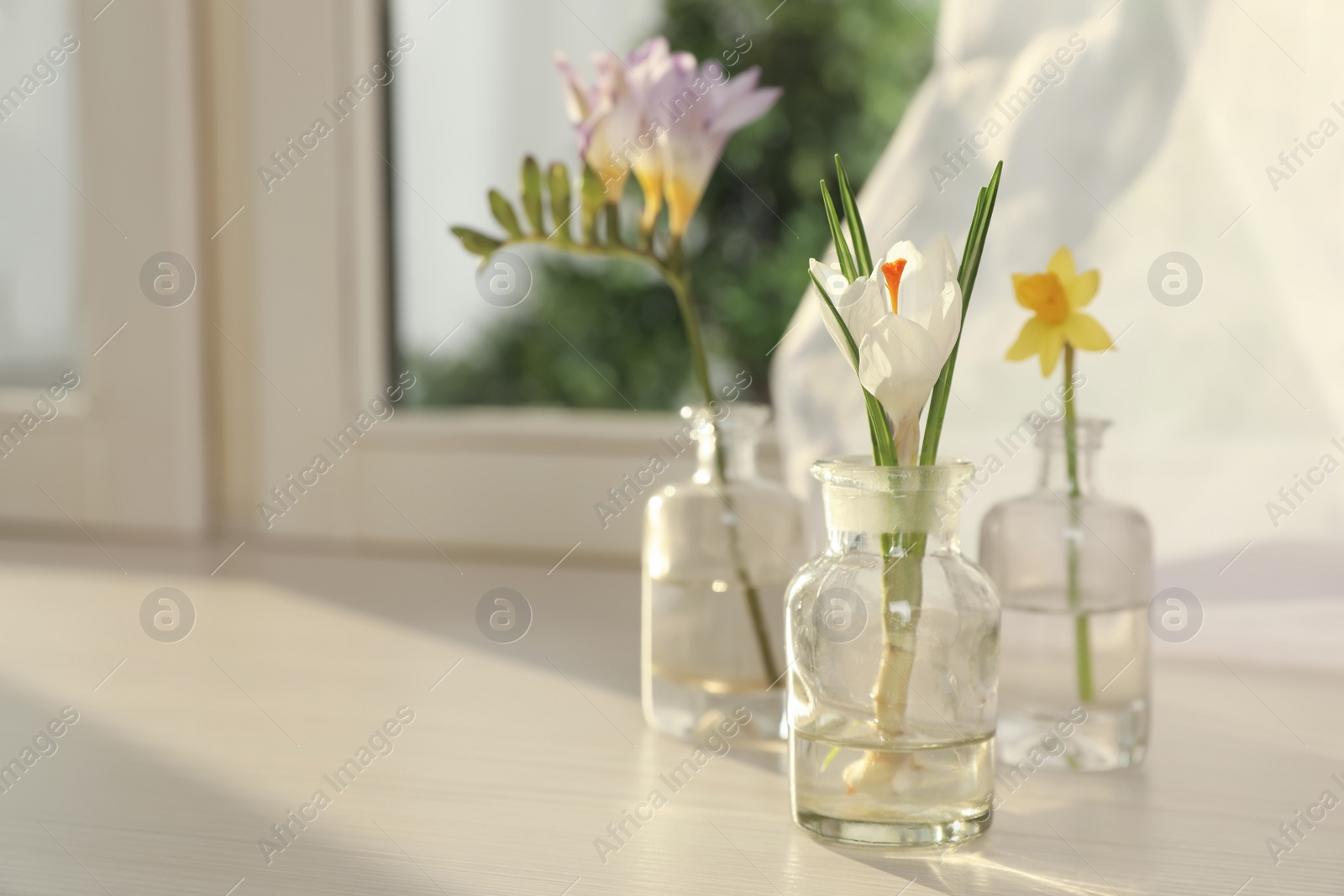 Photo of Beautiful spring flowers on window sill indoors