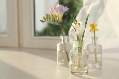 Beautiful spring flowers on window sill indoors