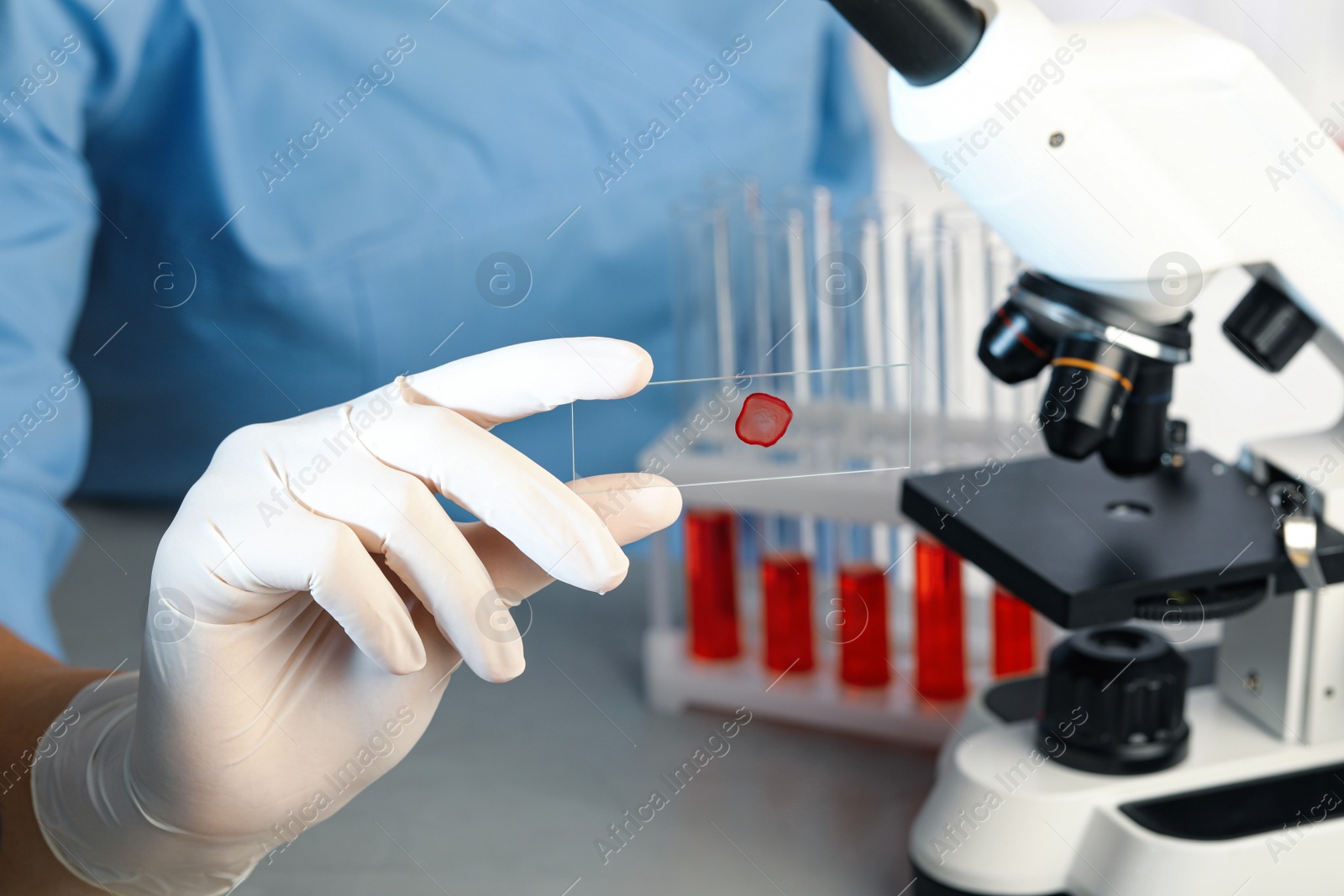 Photo of Scientist holding microscope slide with red sample in laboratory, closeup