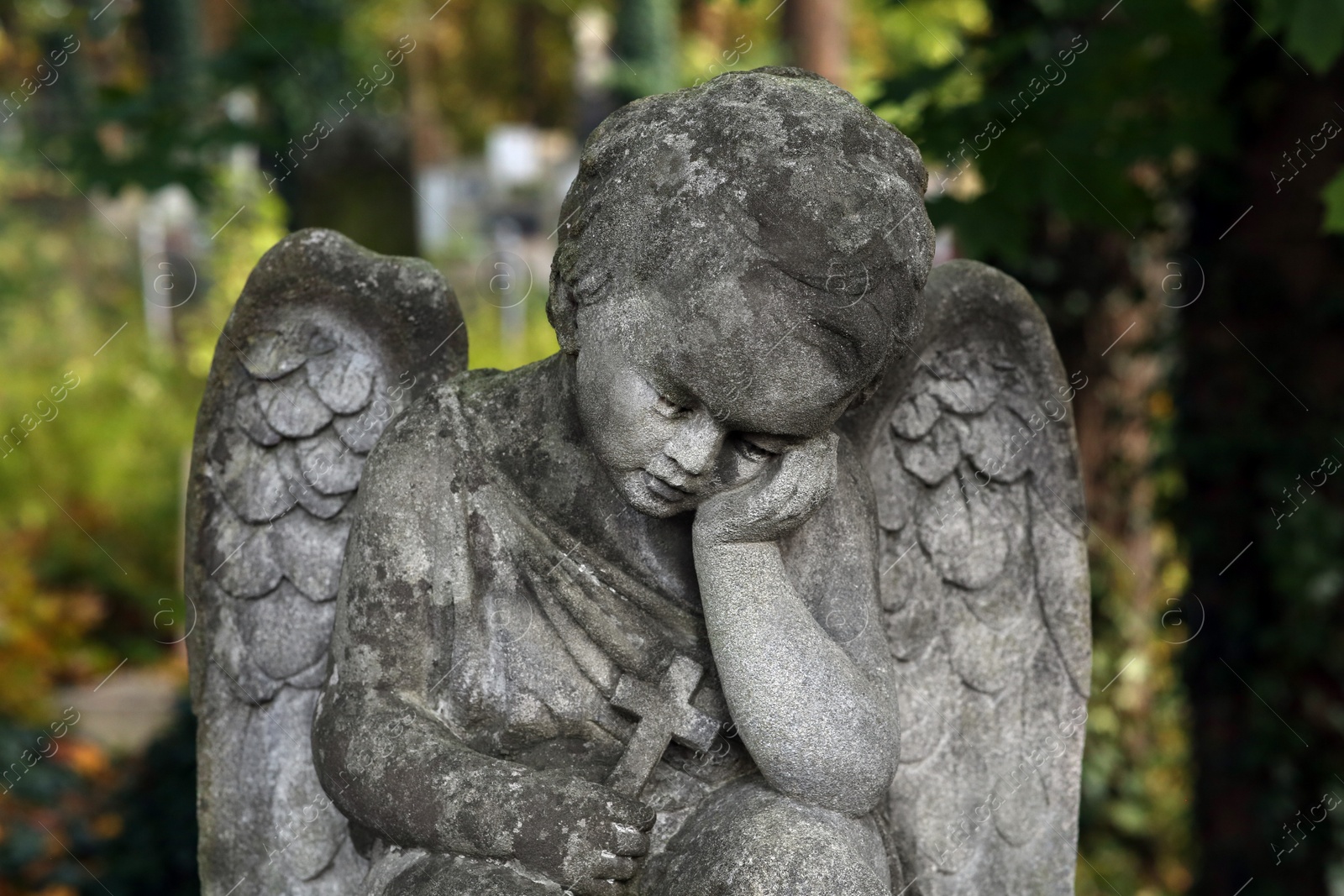 Photo of Beautiful statue of angel outdoors, closeup. Funeral ceremony