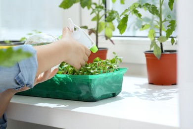 Photo of Little girl spraying seedlings in plastic container on windowsill, closeup