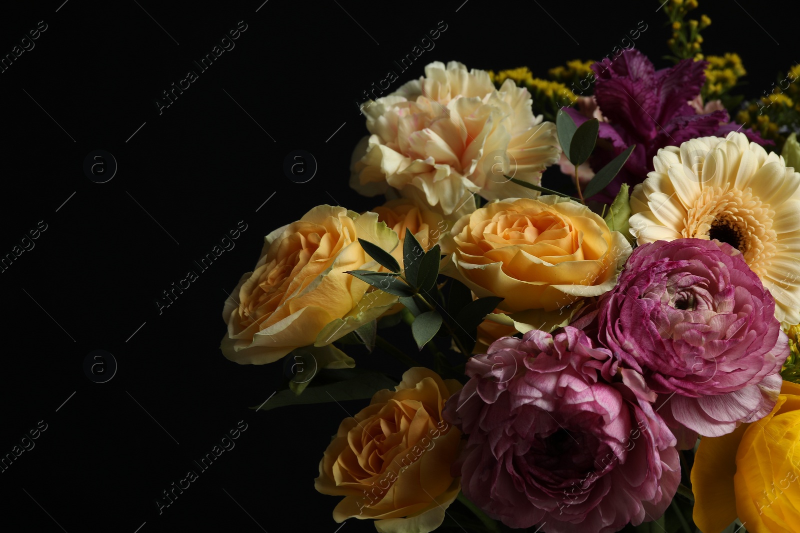 Photo of Beautiful fresh flowers on dark background, closeup