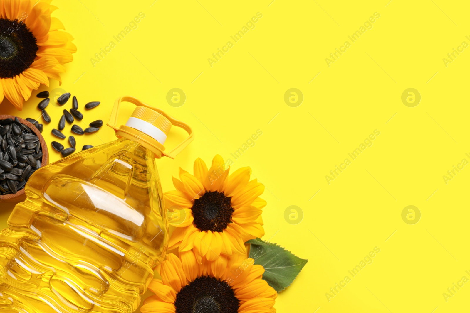 Photo of Bottle of cooking oil, sunflowers and seeds on yellow background, flat lay. Space for text