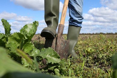 Photo of Man digging soil with shovel in beet field, closeup