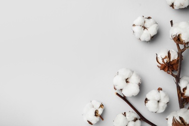 Flat lay composition with cotton flowers on light grey background. Space for text