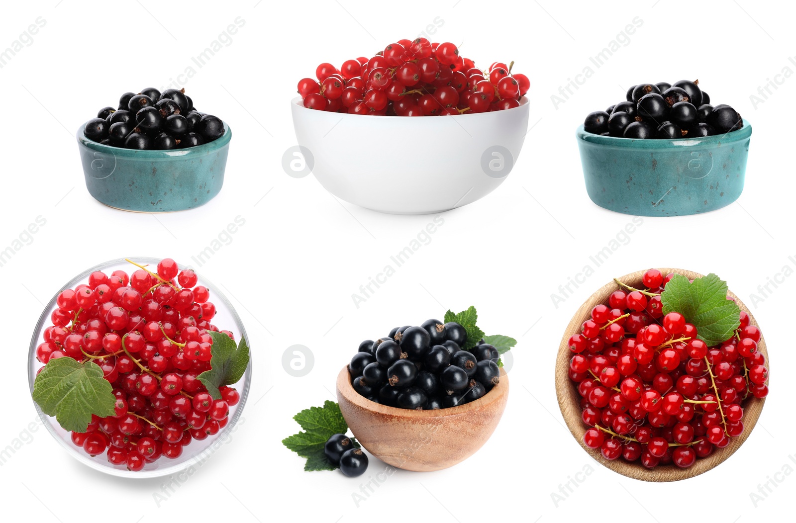 Image of Fresh red and black currants in bowls on white background, collection