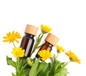 Bottle of essential oil and calendula flowers on white background, top view