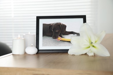 Photo of Pet funeral. Frame with picture of dog, burning candles and lily flower on wooden table indoors