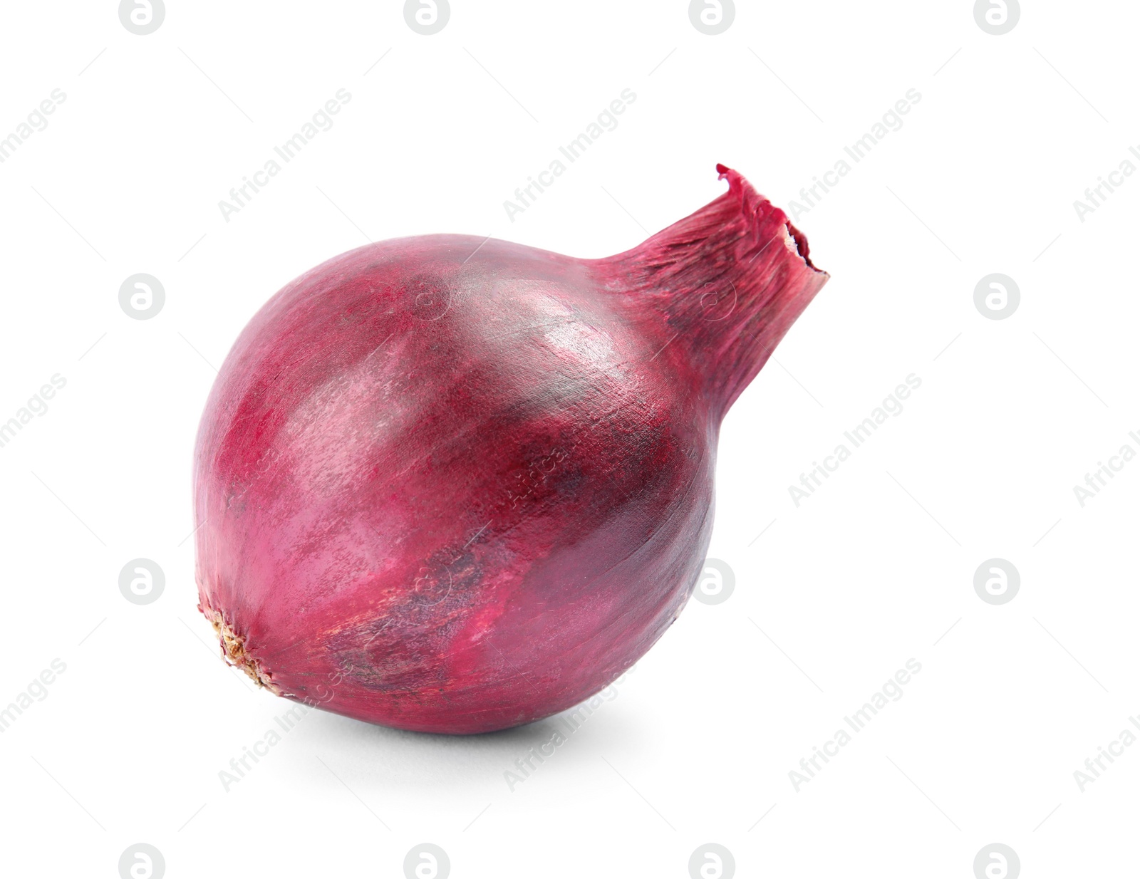 Photo of Ripe red onion on white background