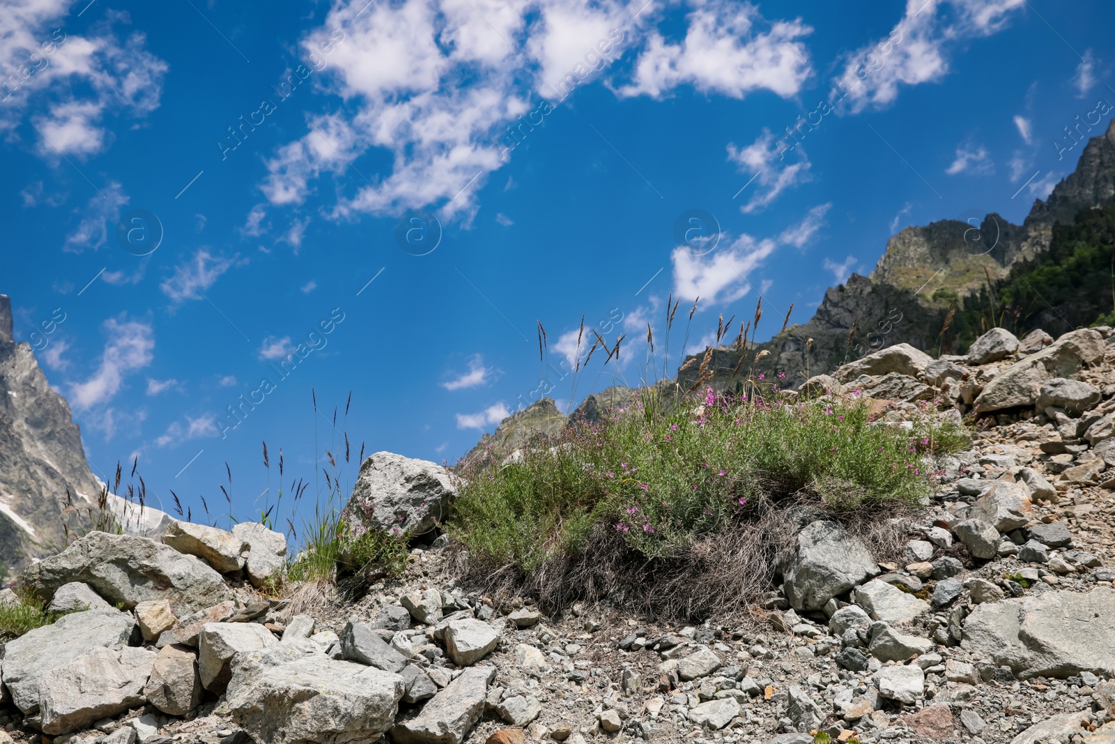 Photo of Picturesque view of beautiful rocky mountain landscape