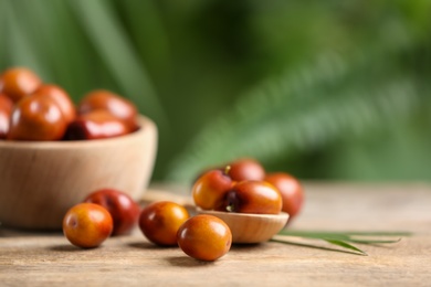 Fresh ripe oil palm fruits on wooden table. Space for text