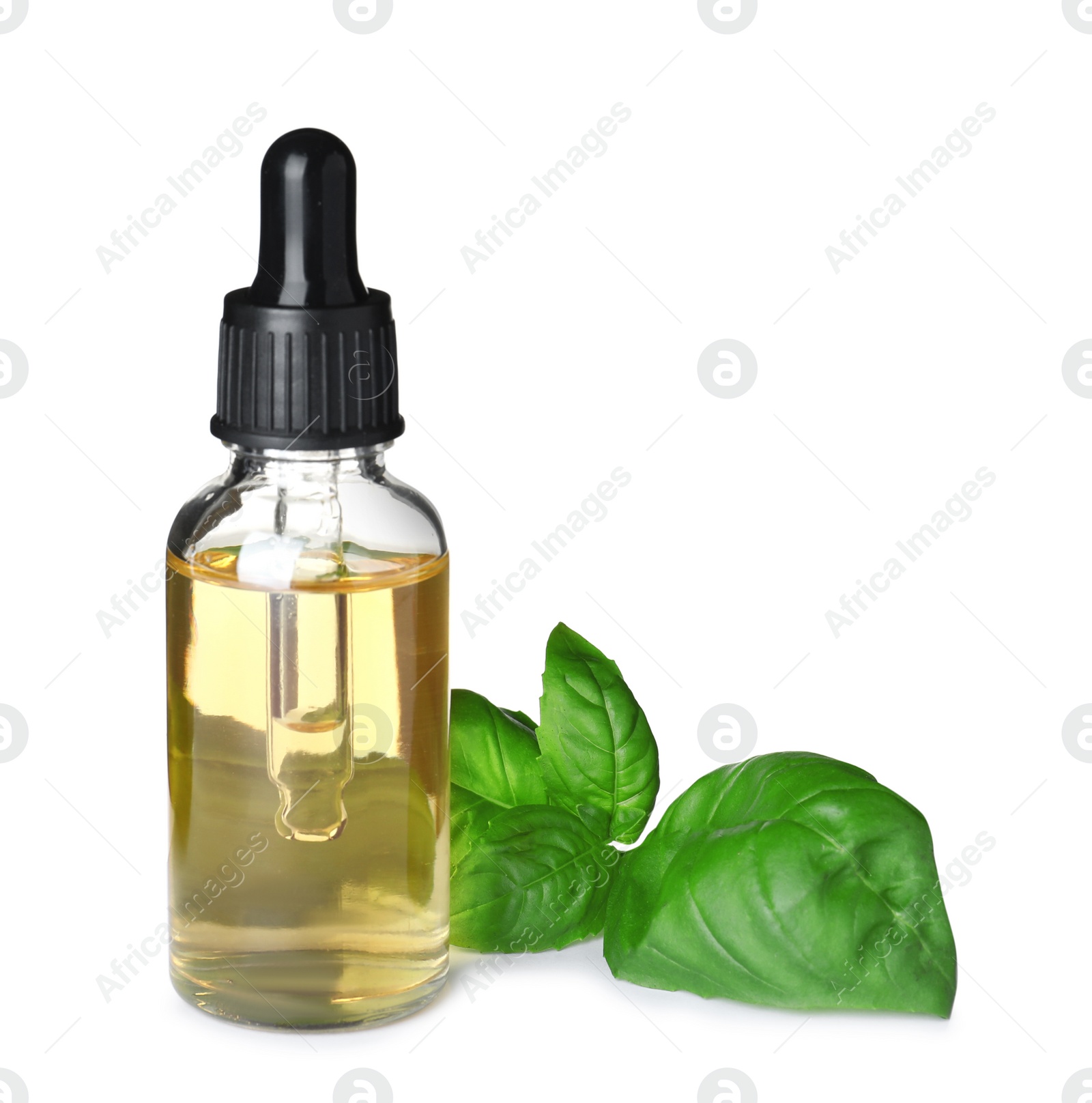 Photo of Little bottle of essential oil and basil on white background