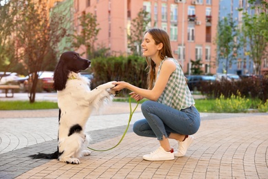 Photo of Woman training her English Springer Spaniel dog outdoors