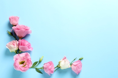 Photo of Flat lay composition with beautiful Eustoma flowers on color background