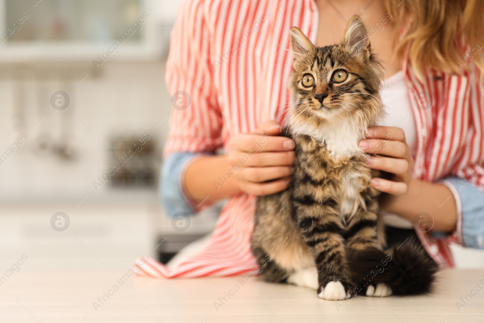 Photo of Young woman with cat at home, closeup. Owner and pet