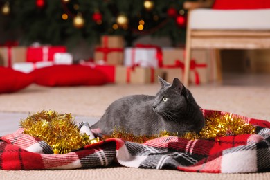 Cute cat with colorful tinsel and Christmas lights at home