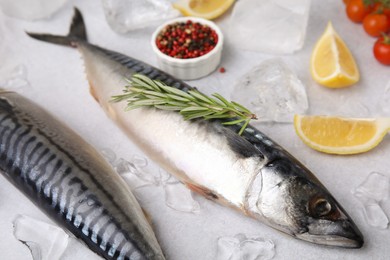 Photo of Raw mackerel, rosemary and ice on light gray table