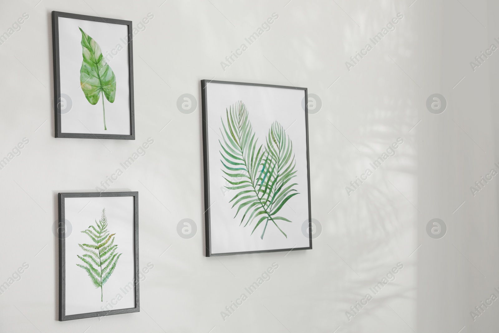 Photo of Beautiful pictures on white wall. Idea for interior design