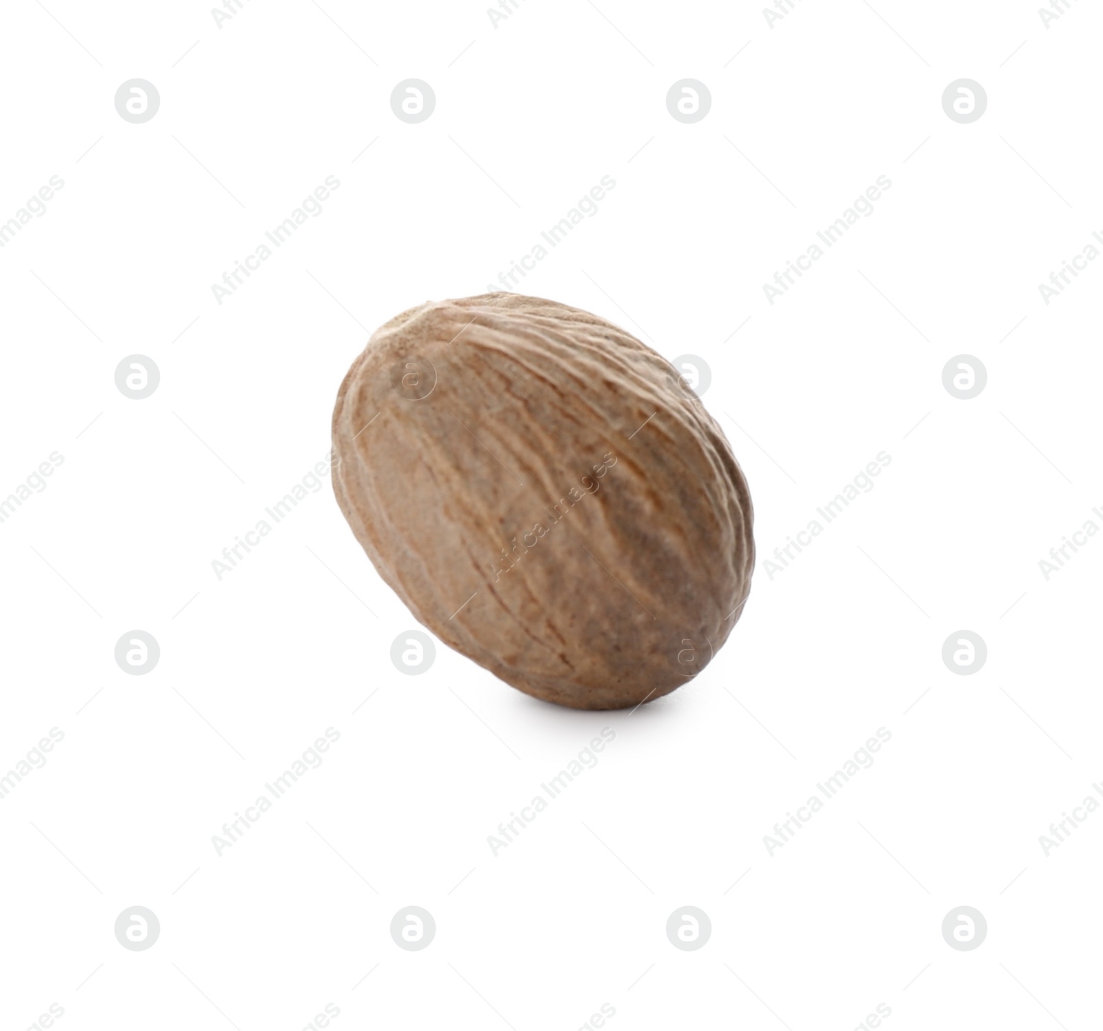 Photo of One whole nutmeg seed isolated on white