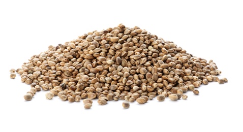 Photo of Pile of hemp seeds on white background