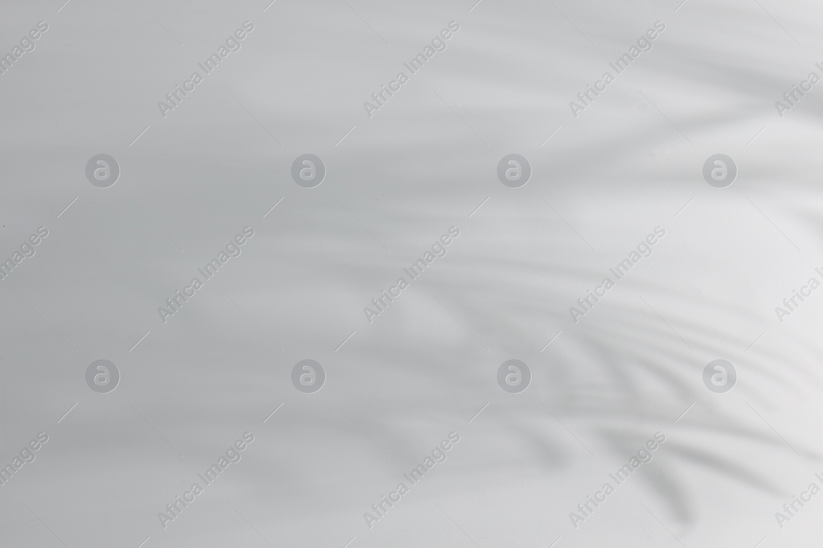 Photo of Shadow of plant falling on white wall, space for text