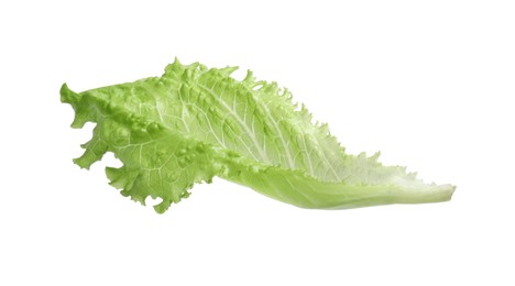 Fresh green lettuce leaf isolated on white