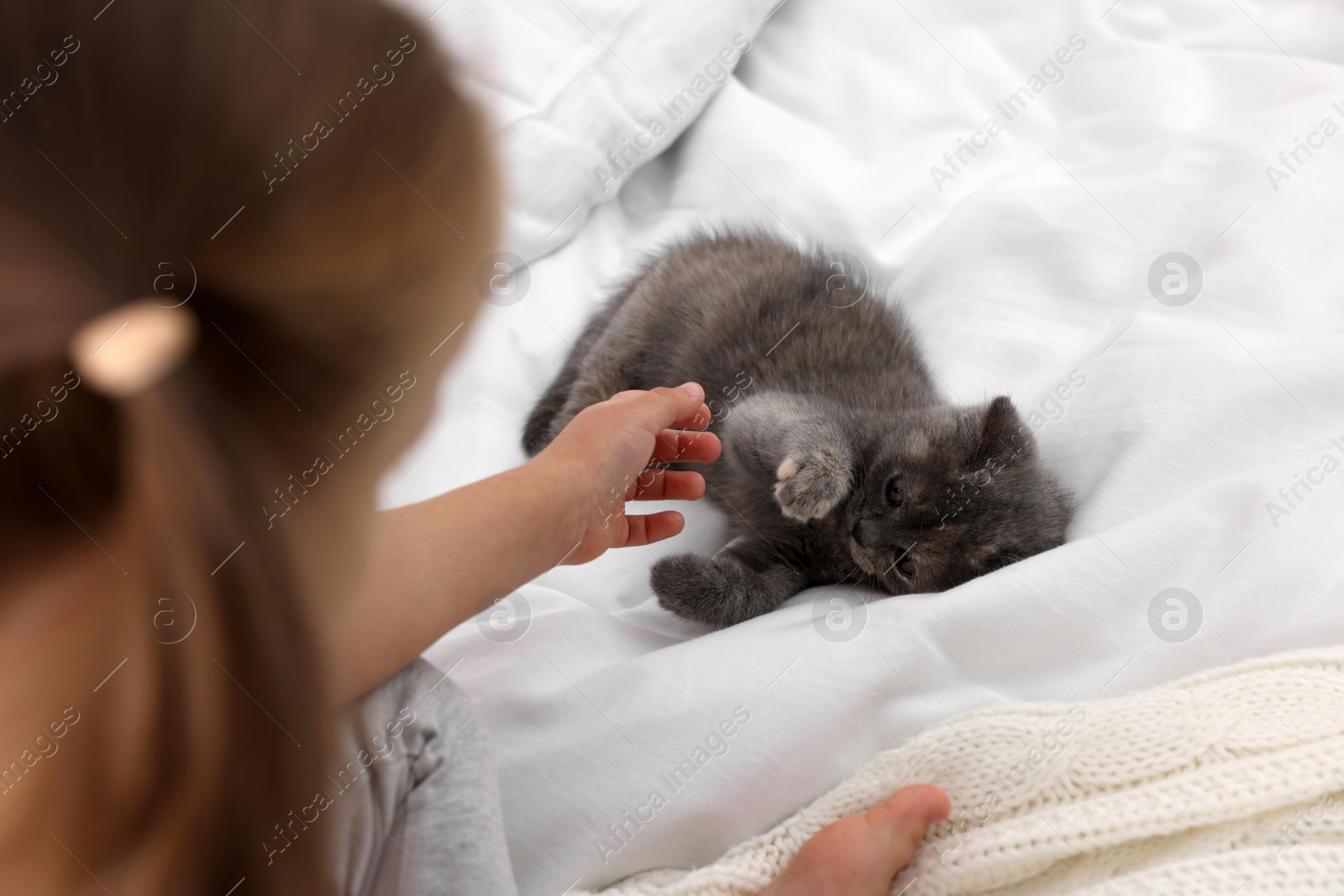 Photo of Cute little girl playing with kitten on bed, closeup. Childhood pet