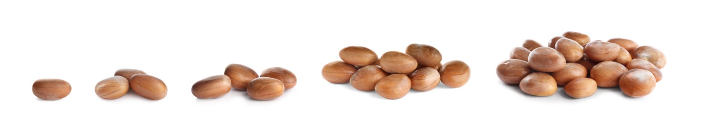 Image of Set with jackfruit seeds on white background. Banner design