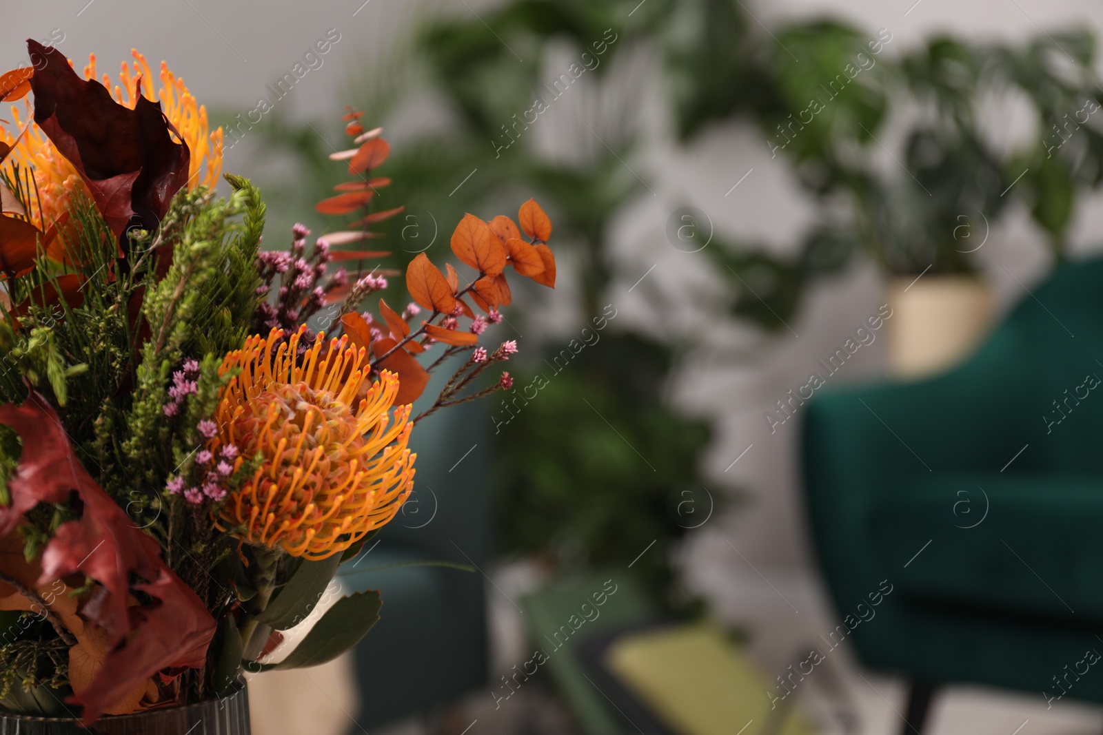 Photo of Bouquet of beautiful flowers in room, closeup. Space for text