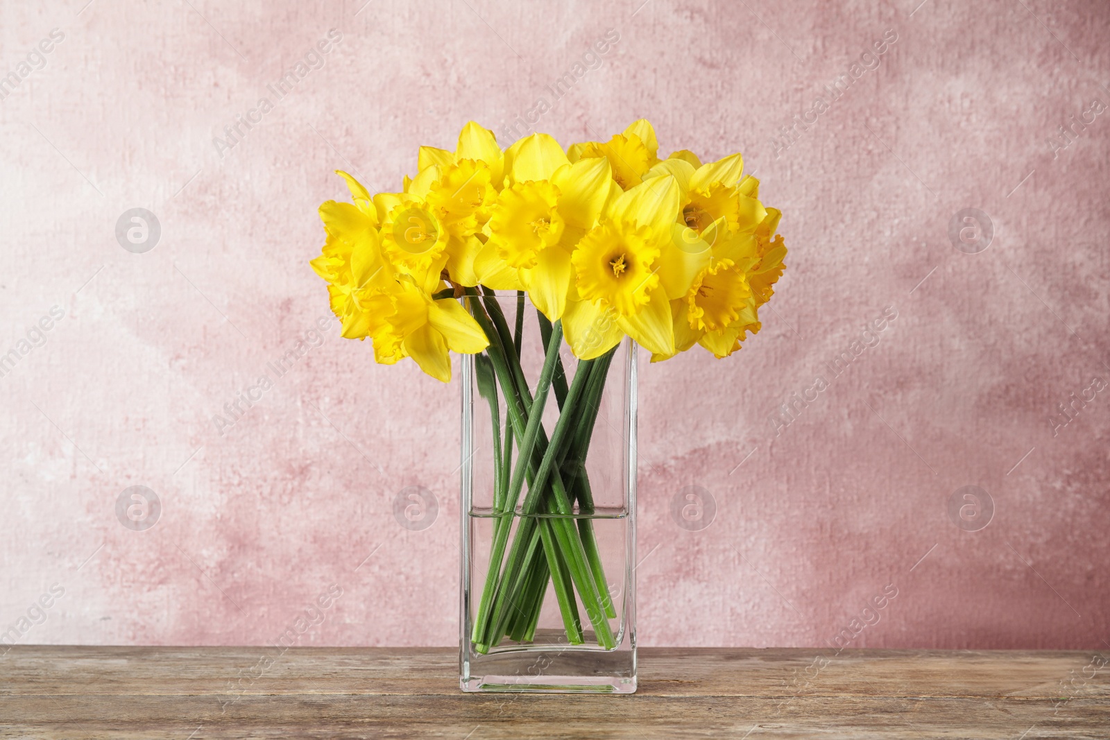 Photo of Bouquet of daffodils in vase on table against color background. Fresh spring flowers