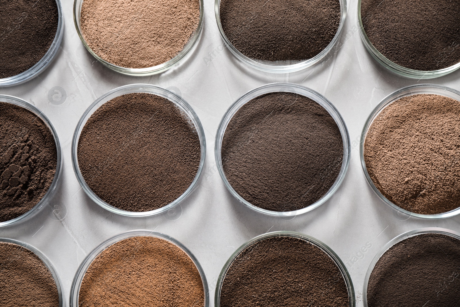 Photo of Petri dishes with soil samples on grey table, flat lay. Laboratory research