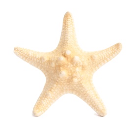 Photo of Beautiful starfish on white background. Beach object