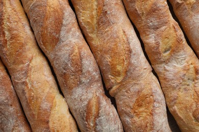 Photo of Crispy French baguettes as background, top view. Fresh bread