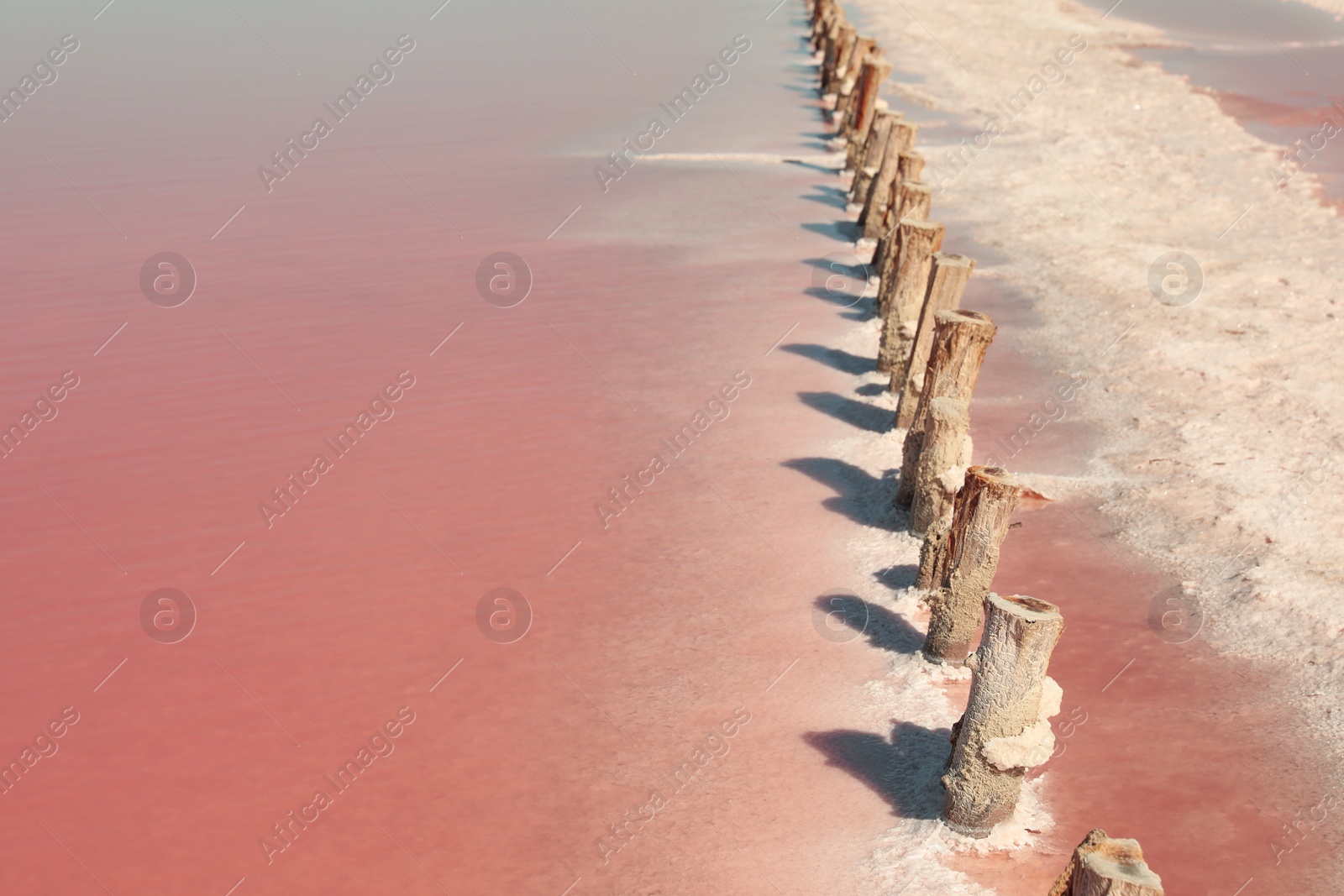 Photo of Beautiful view of pink lake on summer day