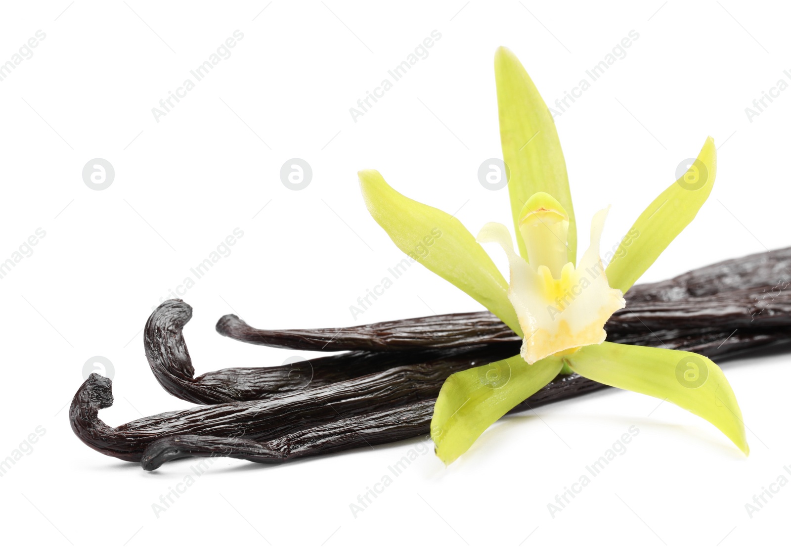 Photo of Vanilla pods and beautiful flower isolated on white