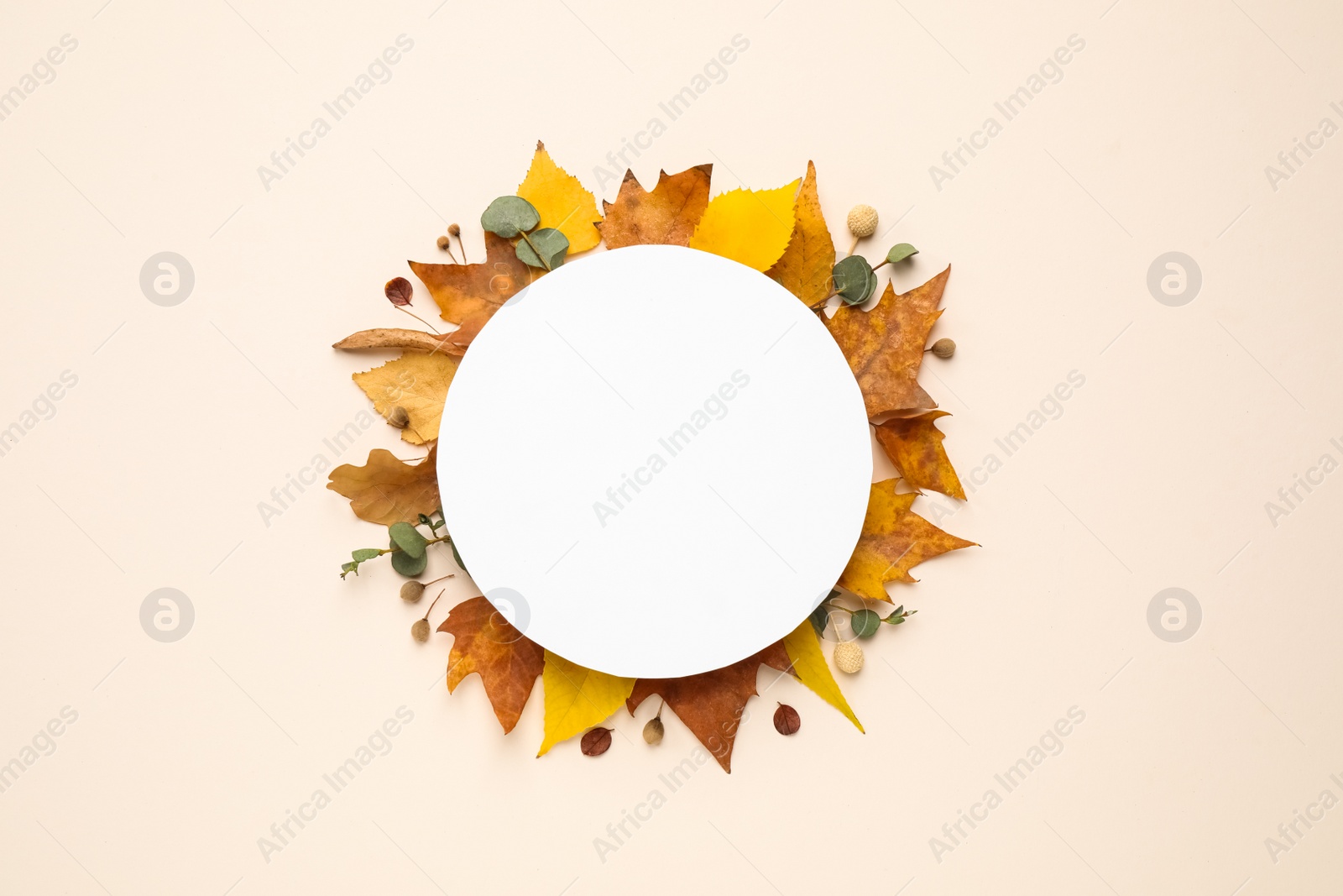 Photo of Flat lay composition with autumn leaves and blank card on light background, space for text