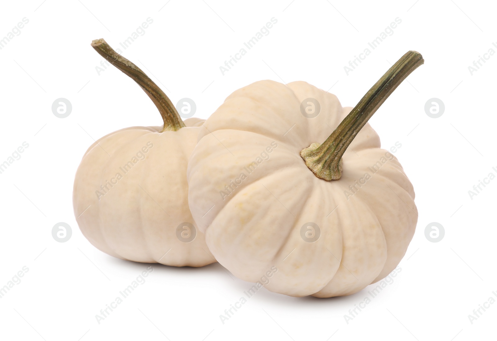 Photo of Two ripe beige pumpkins isolated on white