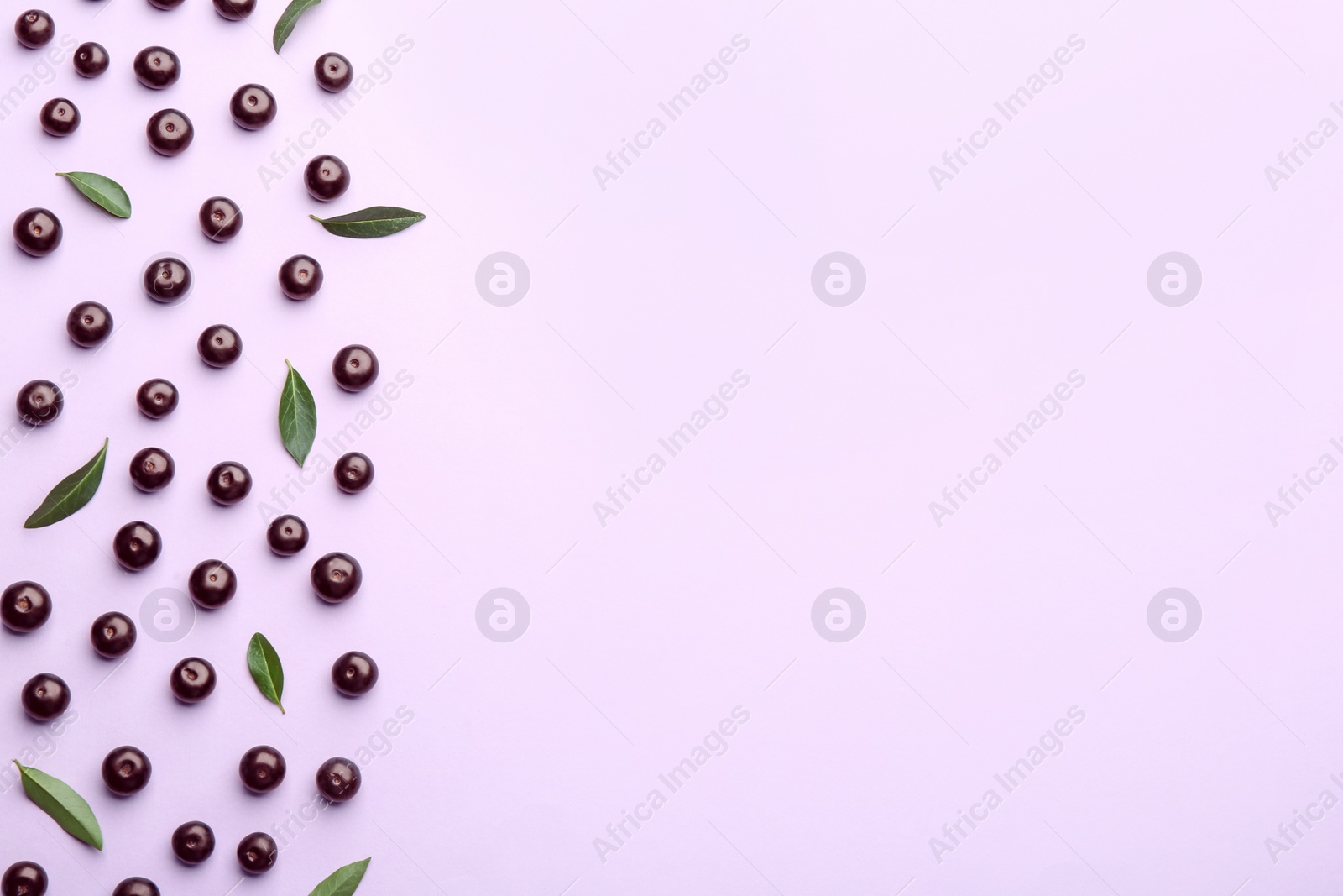 Photo of Fresh acai berries and green leaves on violet background, flat lay. Space for text