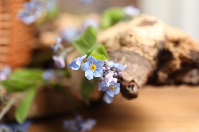 Beautiful forget-me-not flowers on piece of decorative wood, closeup