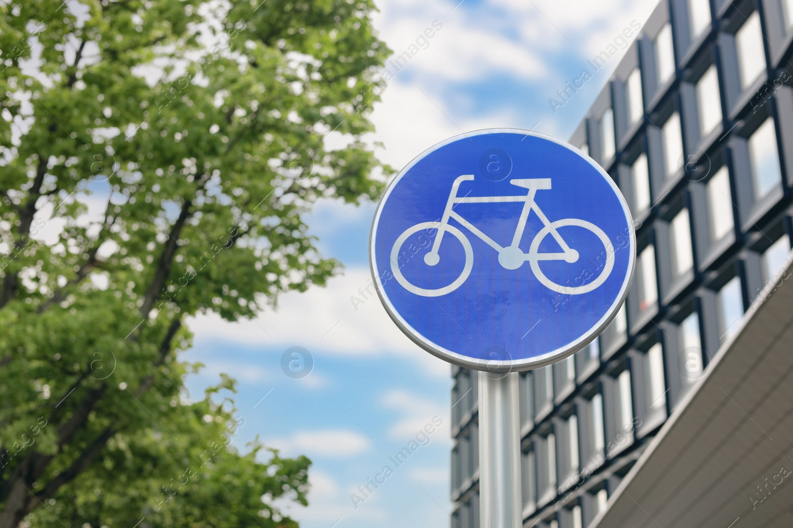 Photo of Traffic sign Cycleway on city street, low angle view. Space for text