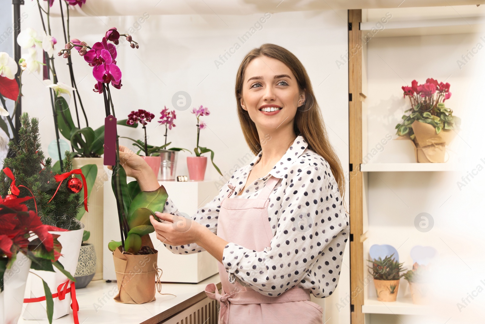 Photo of Professional female florist in apron at workplace