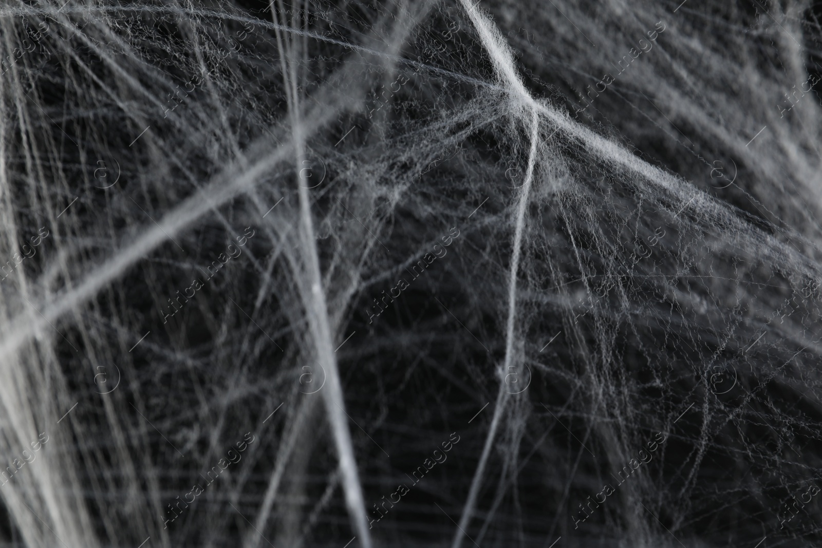 Photo of Creepy white cobweb on black background, closeup