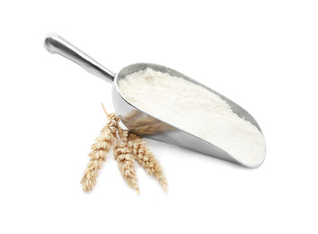 Organic flour, metal scoop and spikelets isolated on white