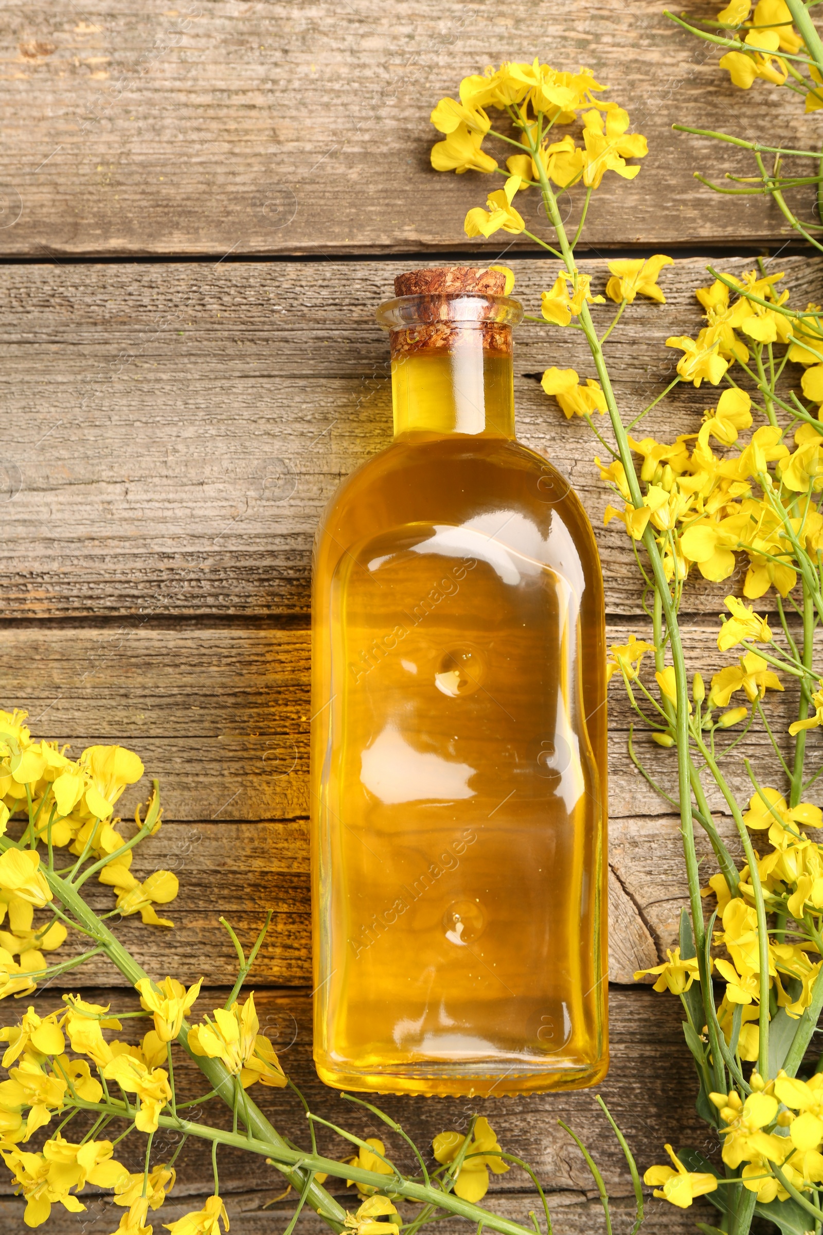 Photo of Rapeseed oil in glass bottle and beautiful yellow flowers on wooden table, flat lay