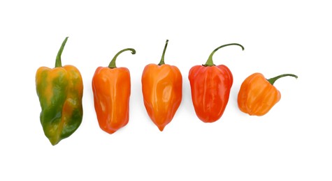 Photo of Different hot chili peppers on white background, flat lay