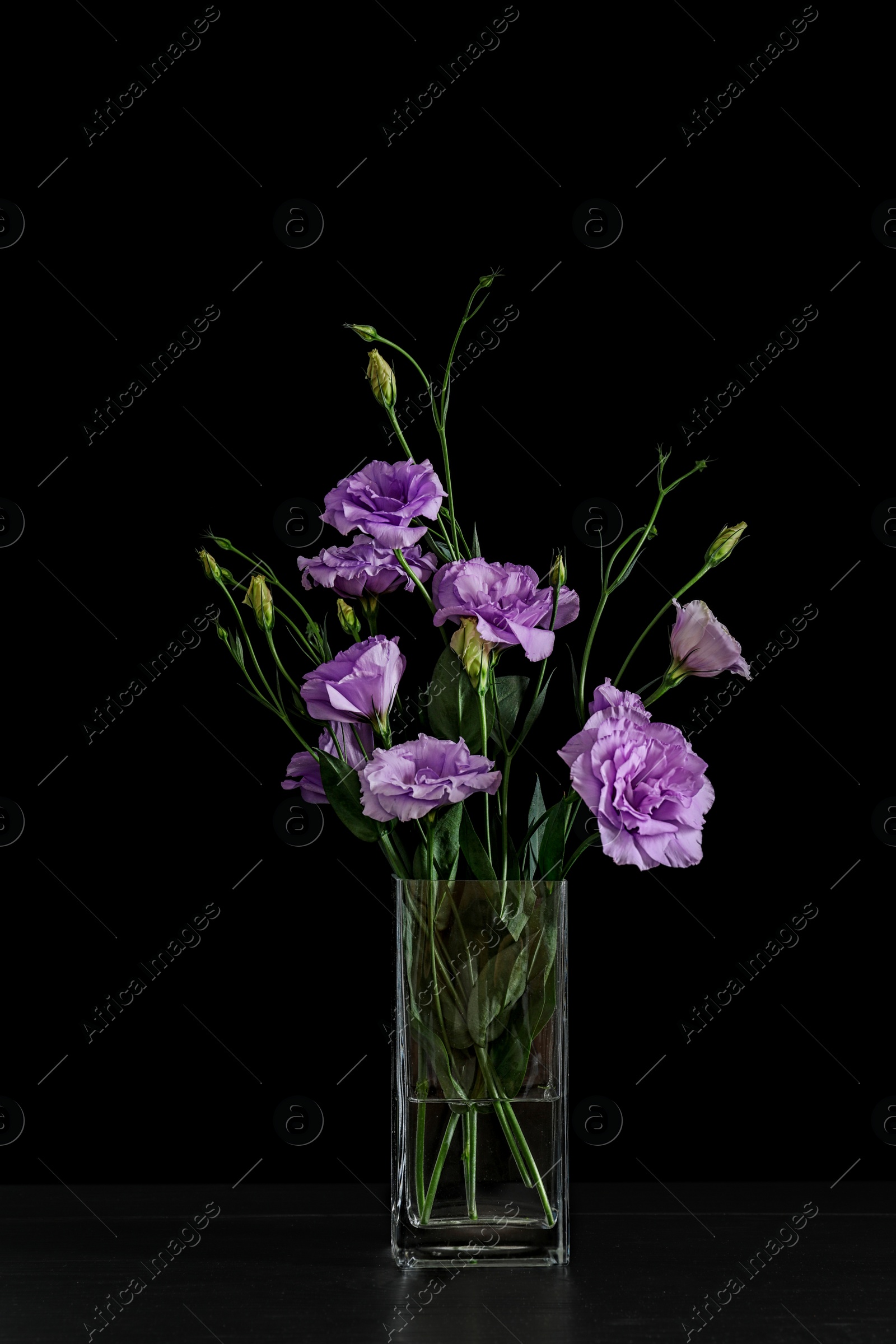 Photo of Vase with beautiful Eustoma flowers on table against dark background