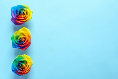 Photo of Rainbow rose flowers on color background, top view