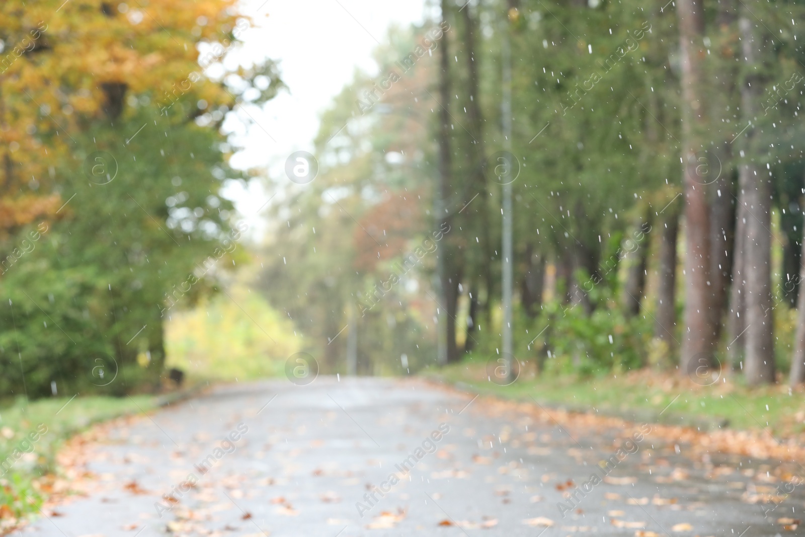 Photo of Blurred view of pathway in autumn park on rainy day