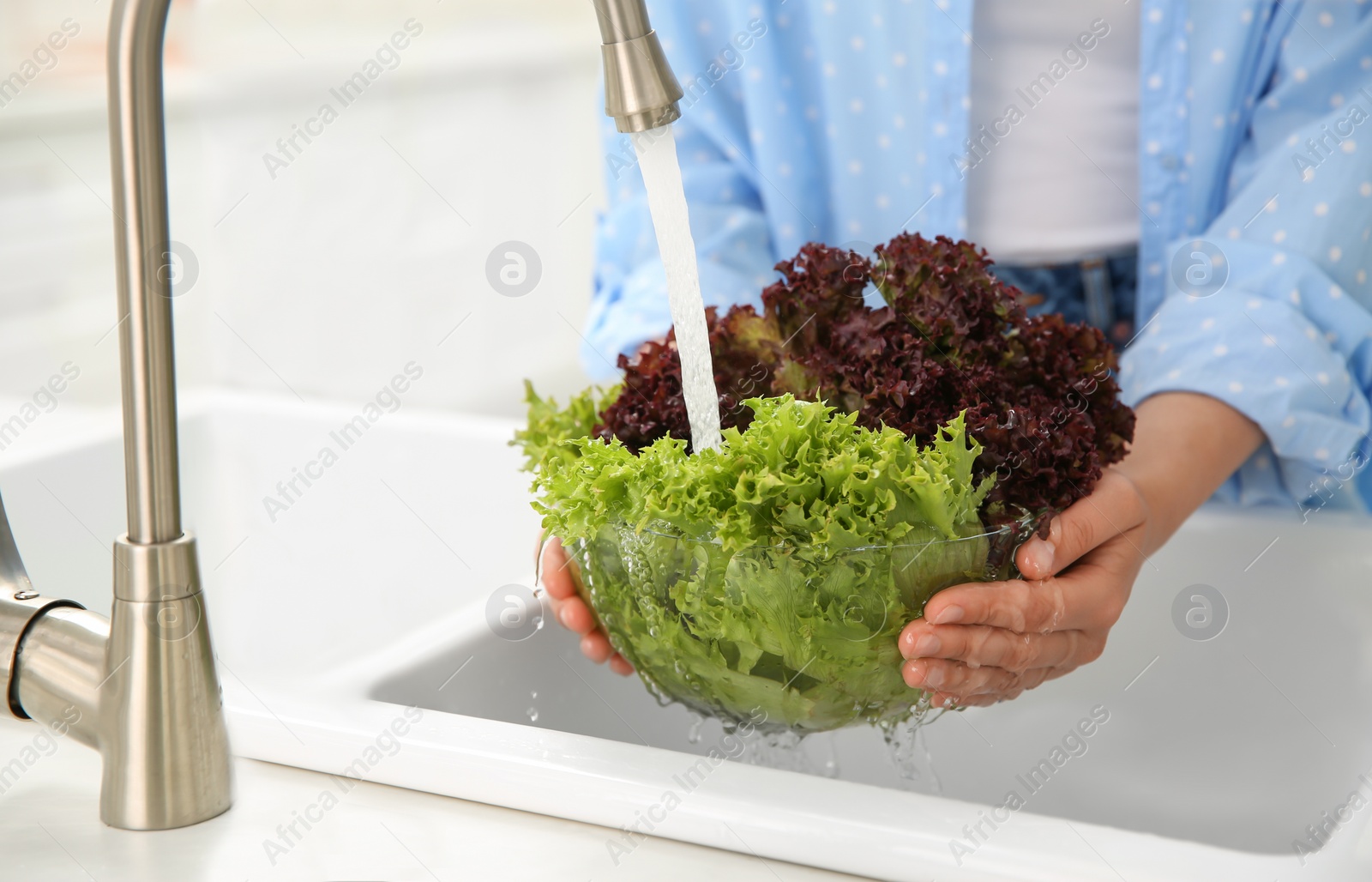 Photo of Woman washing fresh lettuce in kitchen sink, closeup